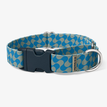 front view of collar front view of collar
